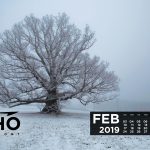 Calendar-February-2560×1600